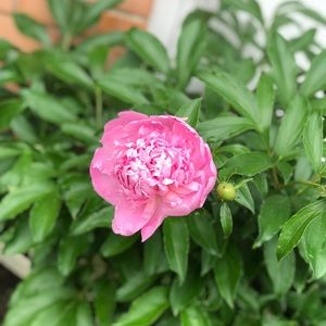 Meet your Posher, Bethany